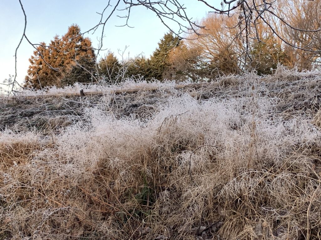 田舎暮らしの画像